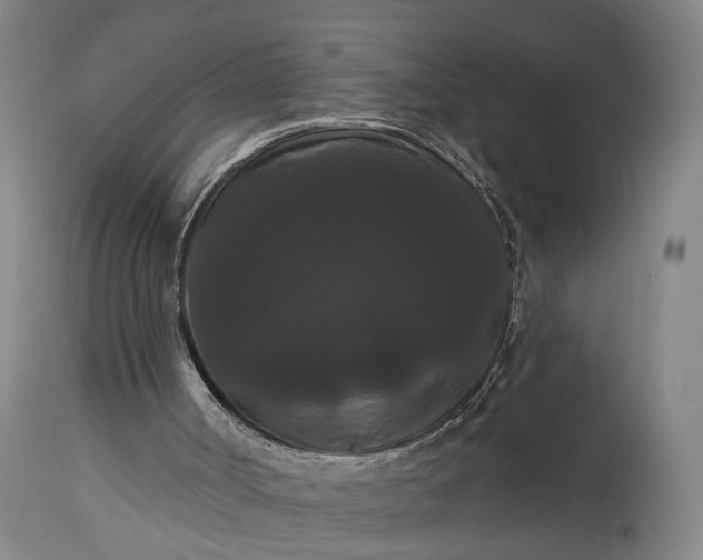 X0000115320002200911161756