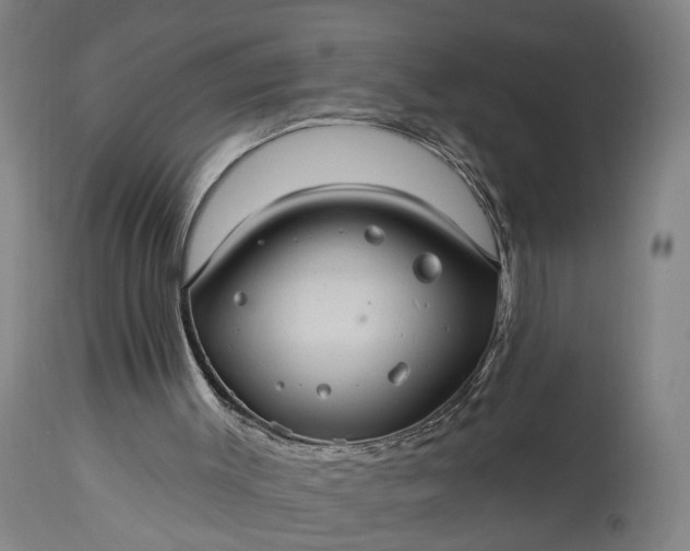 X0000115320003200911161756