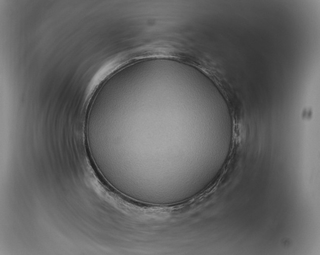 X0000115320004200911161756