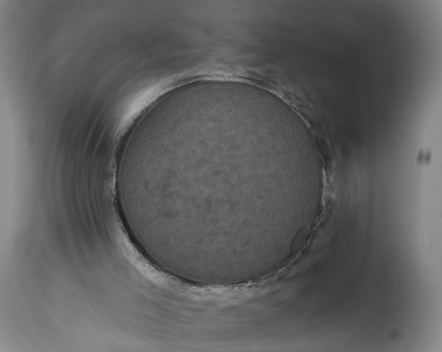 X0000115320005200911161756