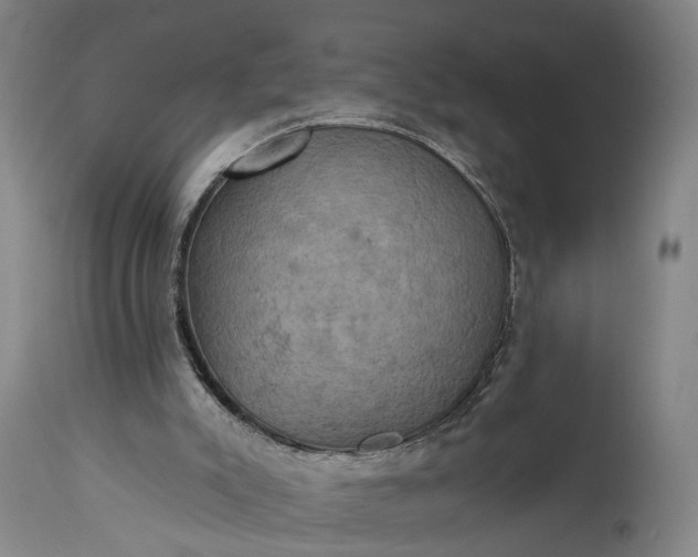 X0000115320007200911161756