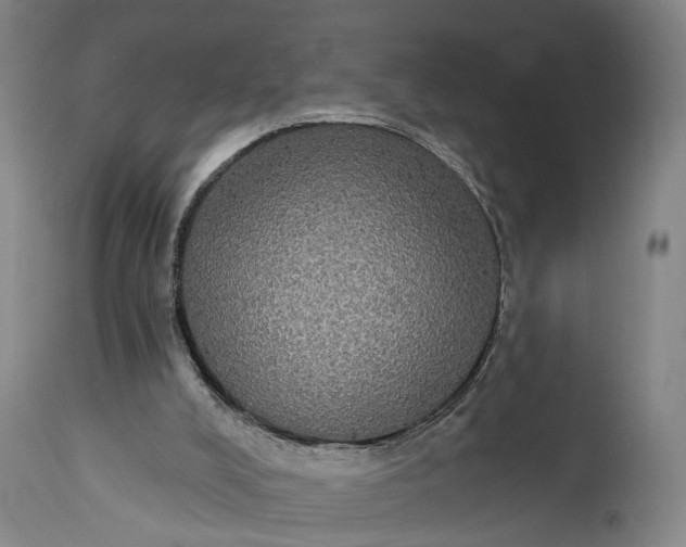 X0000115320008200911161756