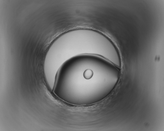 X0000115320009200911161756