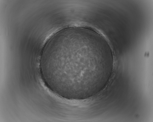 X0000115320010200911161756