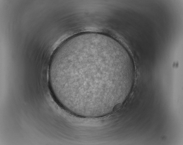 X0000115320011200911161756