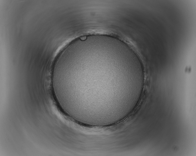 X0000115320012200911161756