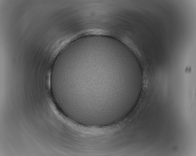 X0000115320014200911161756