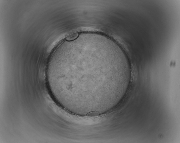 X0000115320015200911161756