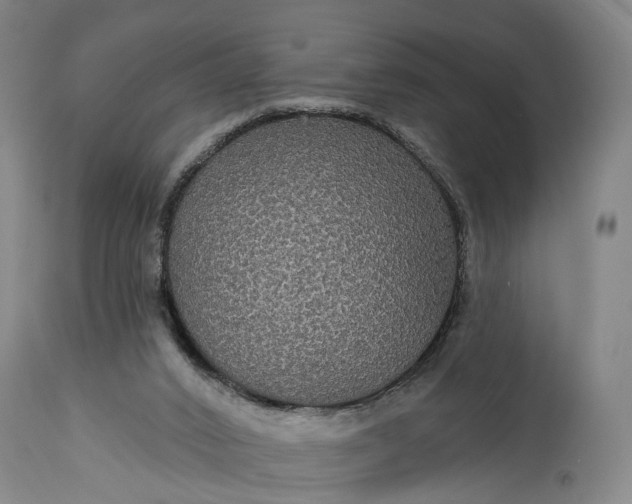 X0000115320016200911161756