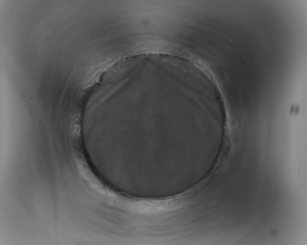 X0000115320017200911161756