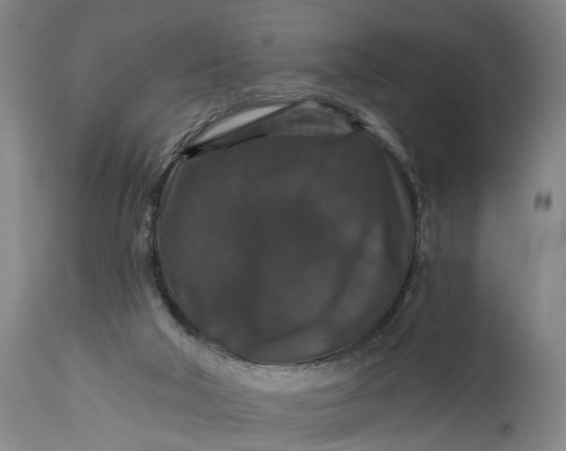 X0000115320018200911161756