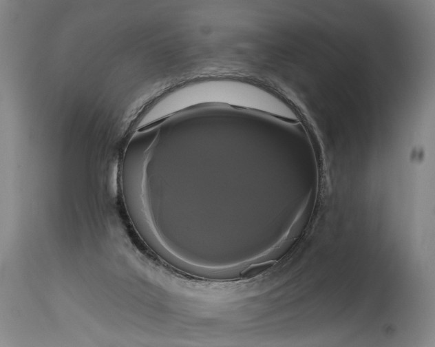 X0000115320019200911161756