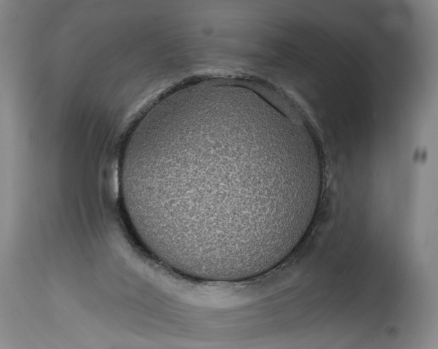 X0000115320020200911161756