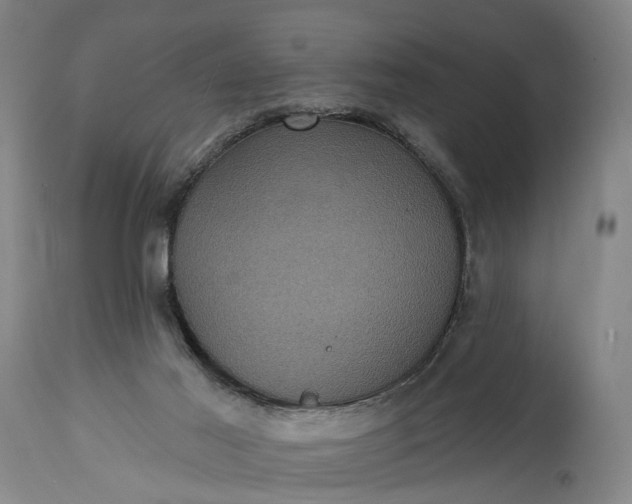 X0000115320021200911161756