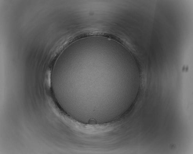 X0000115320022200911161756