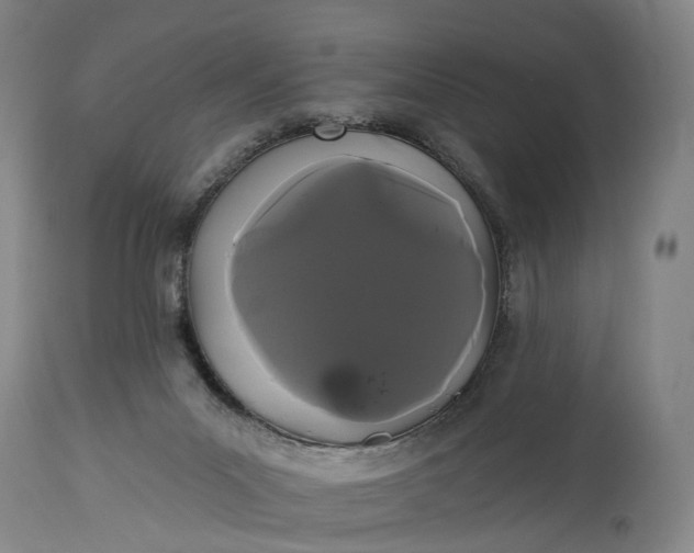 X0000115320023200911161756