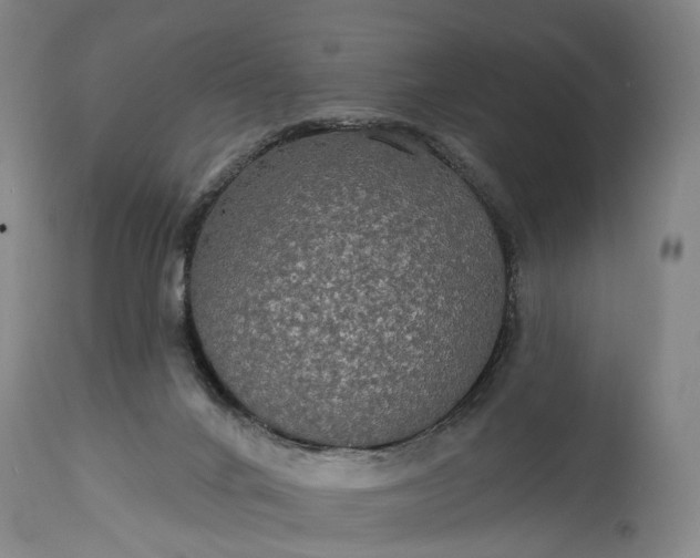 X0000115320024200911161756