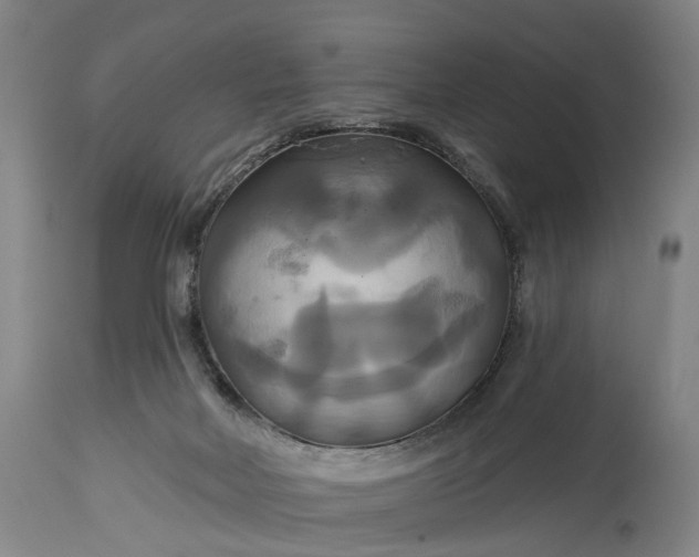 X0000115320026200911161756