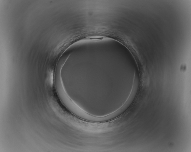 X0000115320027200911161756