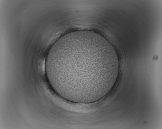 X0000115320028200911161756