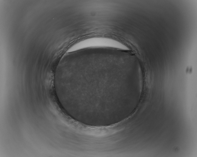 X0000115320029200911161756