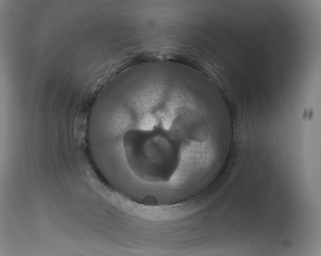 X0000115320030200911161756