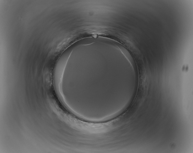 X0000115320031200911161756