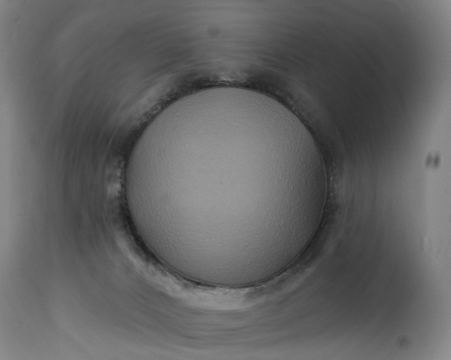 X0000115320032200911161756