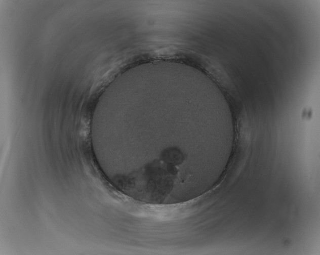 X0000115320033200911161756