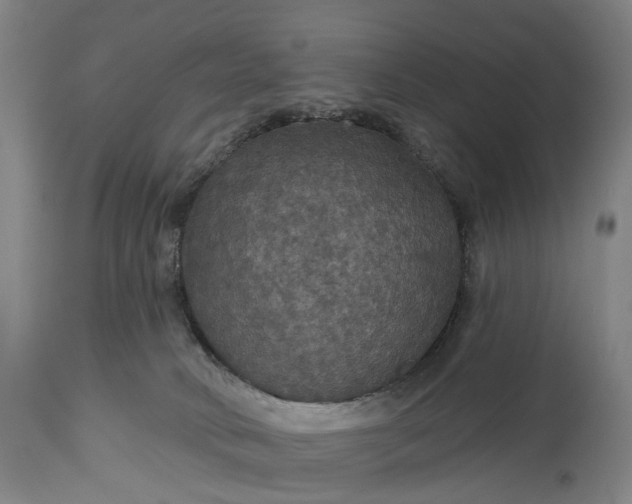 X0000115320034200911161756