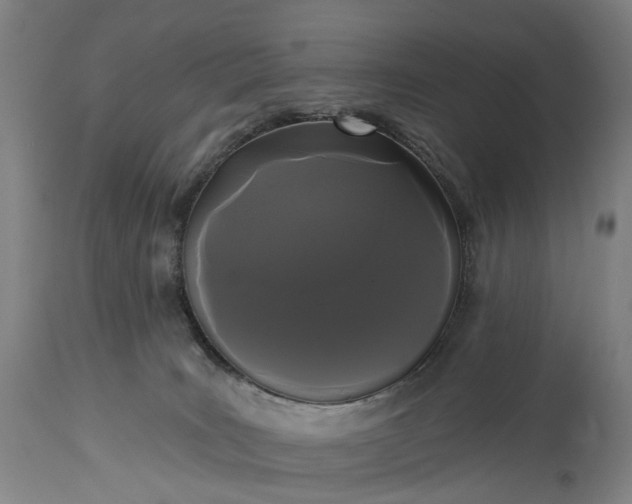 X0000115320035200911161756