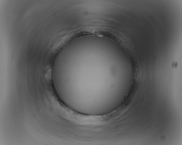 X0000115320036200911161756