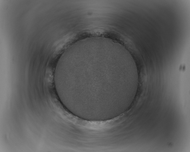 X0000115320037200911161756