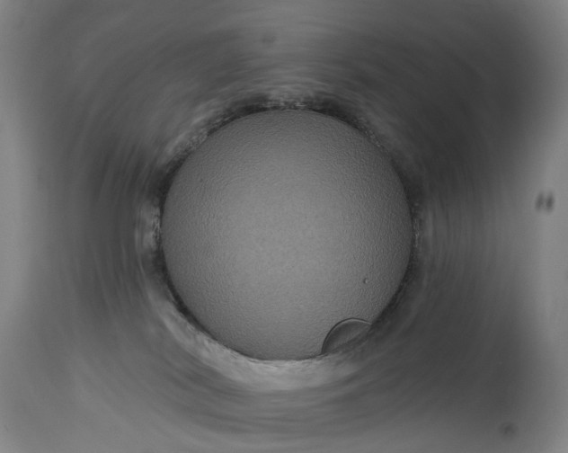 X0000115320038200911161756