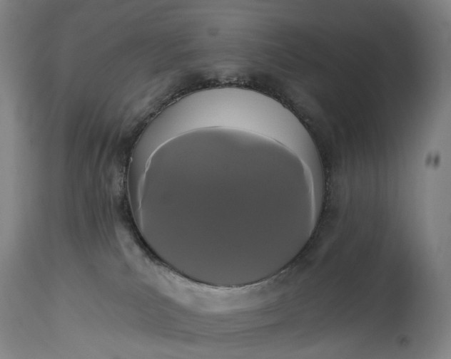 X0000115320039200911161756