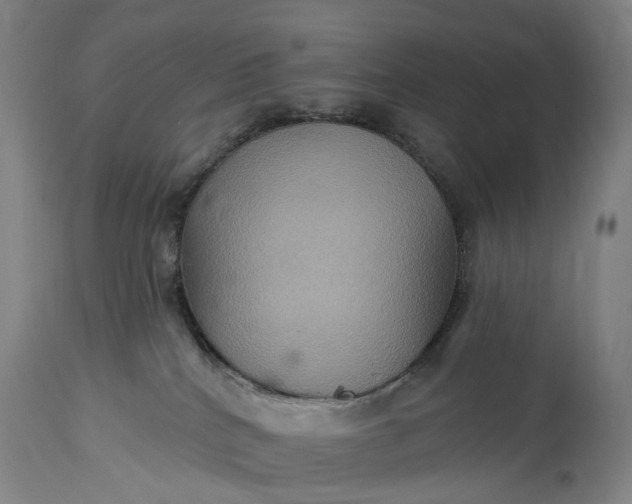 X0000115320040200911161756