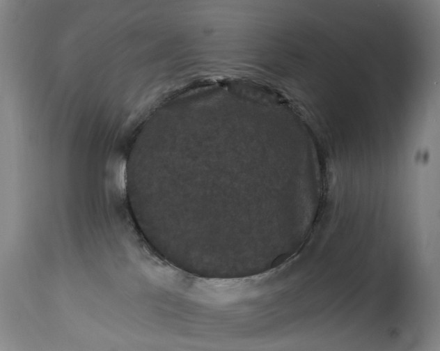 X0000115320041200911161756