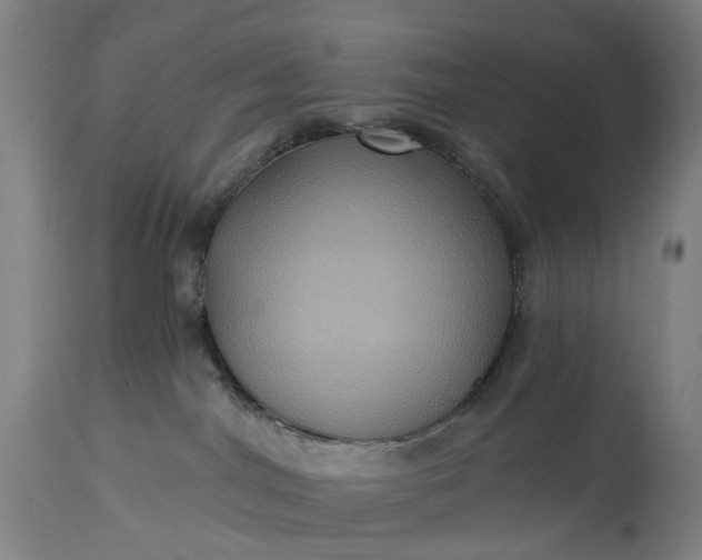 X0000115320044200911161756