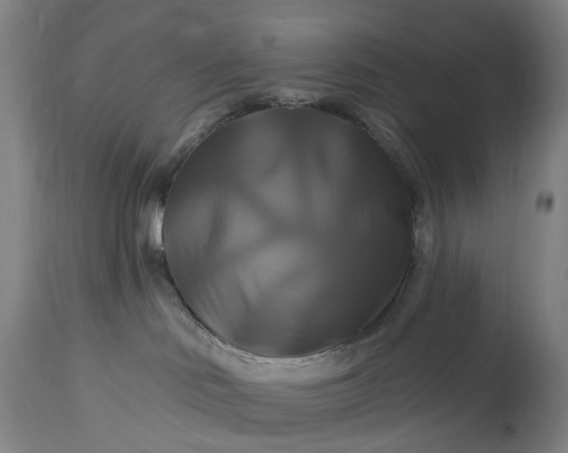 X0000115320046200911161756