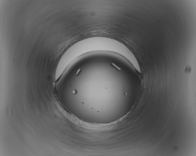 X0000115320047200911161756