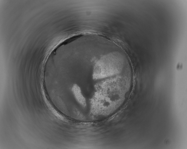 X0000115320049200911161755