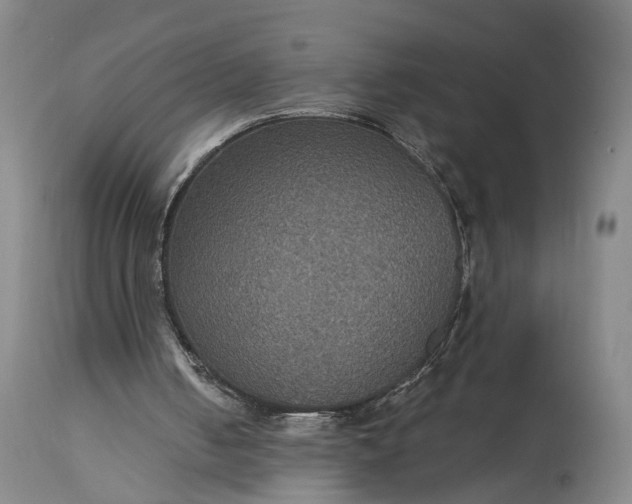 X0000115320050200911161755