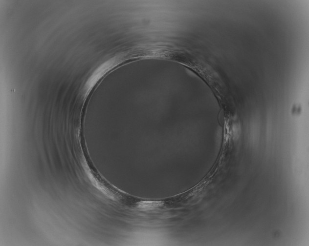 X0000115320051200911161755