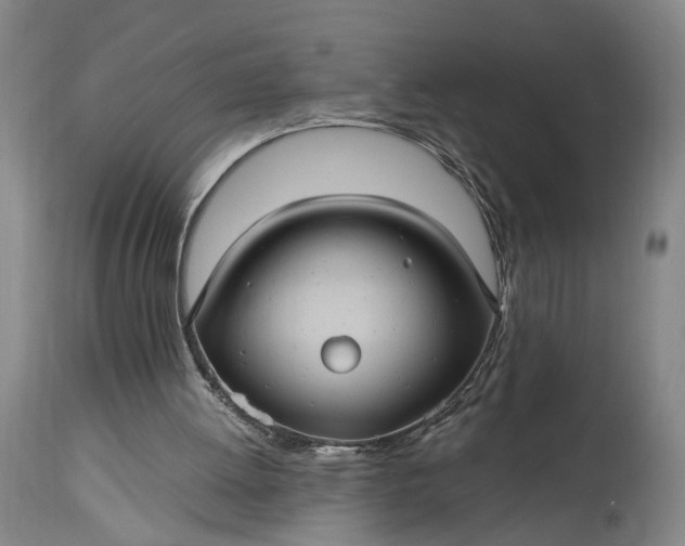 X0000115320052200911161755