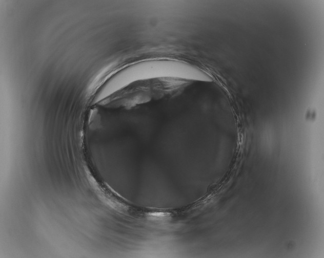 X0000115320053200911161755