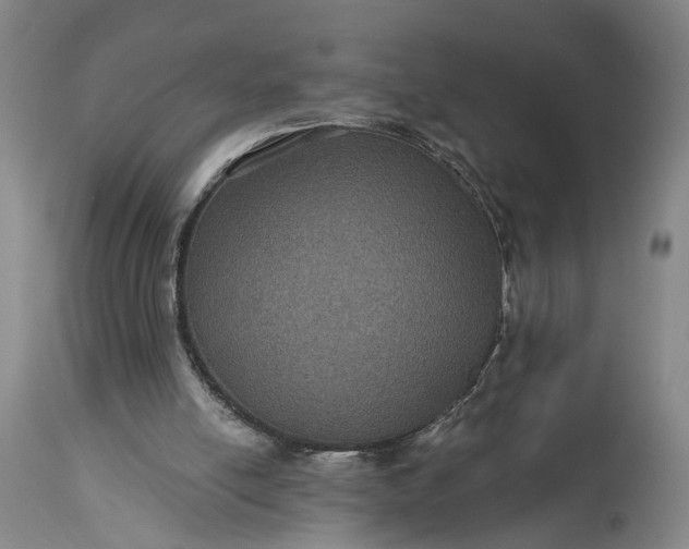 X0000115320054200911161755