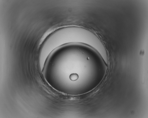 X0000115320056200911161755