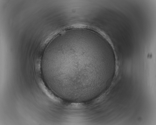 X0000115320057200911161755