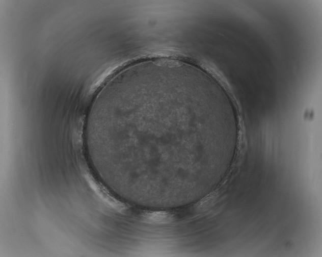 X0000115320058200911161755