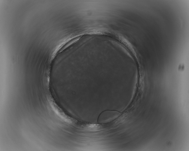 X0000115320059200911161755